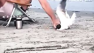 ???? He Thought the Bird Would Fly Away… But Its Choice Melted Millions! ????❤️
