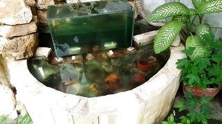 Fish Pond "inverted aquarium" or a "bottomless fish tower