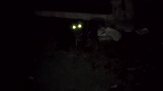My Dog name: "BJ"