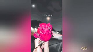 Parrizad nice  potery  sunao  mazza  aya  his ga
