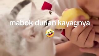 random banget x vegasslots 2