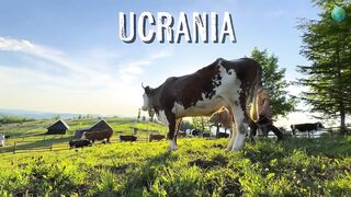 This Is Life in the Most Peaceful and Beautiful Villages in UKRAINE: A Paradise No One Talks About