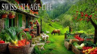 Farm Life in Swiss Countryside – Gathering Fresh Eggs, Apple Harvest and Caring for Animals