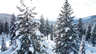 ???? Solo Winter Camp in Deep Snow ❄️ Warm Campfire, Hot Noodles & Survival Life ????️ - Arctic Survival Girl