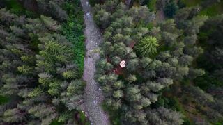 ☔ GIANT LUXURY TENT Camp in HEAVY RAIN in WILD FOREST by the RIVER with my cat Campfire & ASMR - Victoria Outside