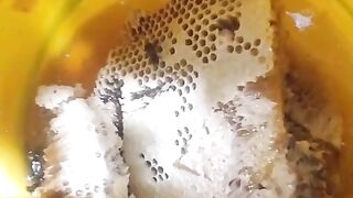 Fresh Organic original honey