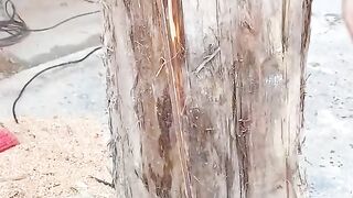 From Giant Log to Stunning Wooden Chair! ????
