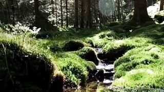 Beautiful nature 323