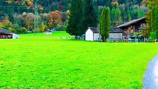 Beautiful view from Unterbach ???????? #switzerland #swissalps #suisse #short #switzerlandmylove [1080p]