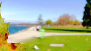 Murten Switzerland????????. #switzerland #suisse #swiss #short #سوئیس [1080p]