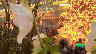 Zurich Switzerland ???????? #zurich #swiss#short #suisse #switzerland #سوئیس [1080p]