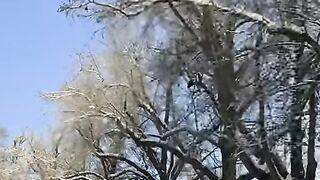 Fribourg????????winter.#winter #fribourg#suisse#short #switzerland#swiss [1080p]