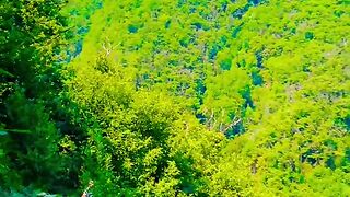 Switzerland ???????? #swiss #suisse #switzerland #shortfeed #shortfeeds #vairal [1080p]