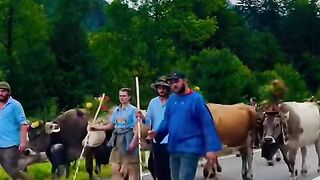 Lauterbrunnen Switzerland ???????? #lauterbrunnen #lauterbrunnenvalley #swiss #suisse #shortfeed [1080p]