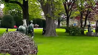 Welcome to paradise ???????? #suisse #switzerland #سوئیس #swiss #shortfeed [1080p]
