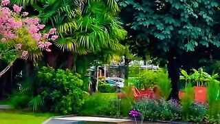 Swiss ???????? #viral #foryou #viralvideo #switzerlandtrip #travelgram #switzerlandbeauty [1080p]