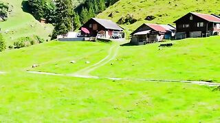 Uri Switzerland ???????? #viral #viralshort #explore #travelgram #switzerlandtrip #travel [1080p]