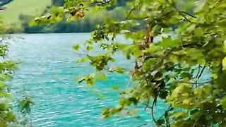 Switzerland ???????? #swisstravel #travelgram #switzerlandtrip #viral #viralvideo # [1080p]