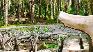 Switzerland ???????? #swisstravel #travelgram #explore #viral #switzerlandtrip [1080p]