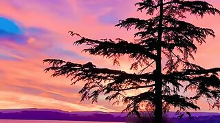 Sunset in Switzerland ???????? #explore #viral #travelgram #swisstravel #suisse #viralvideo [1080p]