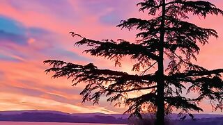 Switzerland ???????? #swisstravel #viral #nature #explore #viral [1080p]