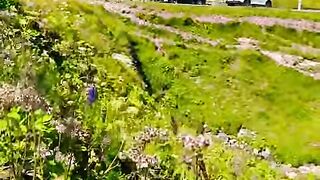 Switzerland ???????? #swisstravel #switzerlandtrip #viral #nature #travel [1080p]