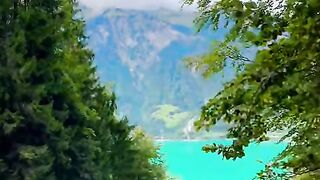 Switzerland ???????? #swisstravel #viralvideo #switzerlandtrip #suisse #nature #foryou #travel [1080p]