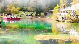 Blausee ???????? #swiss #swisslake #explore #viral #swisstravel #suisse #nature #foryou #travel [1080p]