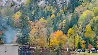 ???? Blausee Switzerland ???????? #nature #love #subscribe #foryou [1080p]