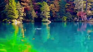 Blausee, Switzerland ???????? #nature #foryou #shortsfeed [1080p]