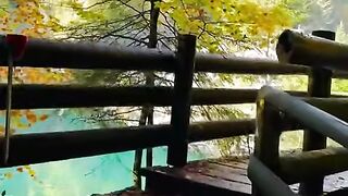 Blausee , Swiss ???????? #nature #foryou #shortsfeed #viral [1080p]