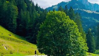 Lac noir Suisse ????????    #nature #foryou #explore #shortsfeed #mountains #switzerland #viral [1080p]
