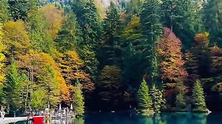 ???? Blausee, Switzerland ????????    #nature #foryou #shortsfeed [1080p]