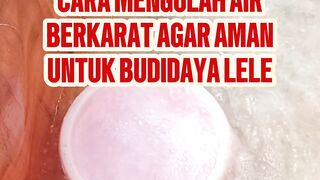 Air berkarat, kuning, keruh, berminyak