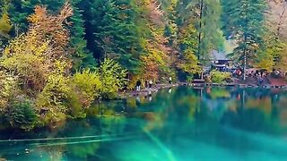 ???? Blausee, Switzerland ????????  #nature #foryou #shortsfeed #mountains #short #explore #viral #shorts [1080p]
