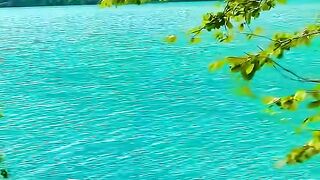 Switzerland ???????? #nature #foryou #shortsfeed #explore #mountains #suisse #switzerland #viral #shorts [1080p]