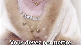 Le charme de la douce épouse du PDG Film parte 243 #cdrama #fyp #doblado
