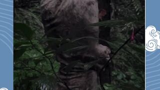 jika bukan karna berpayung Tuhan, hujan sudah membasahi ku, mendinginkan duniaku.. Berpayung Tuhan segalanya begitu indah meski kadang jiwa rapuh