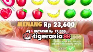 Bonanza emang terbaik dah di Tigerasia88
