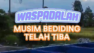 WASPADALAH❗Musim Bediding telah tiba
