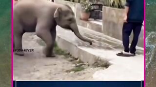 terima kasih