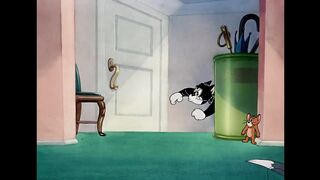 Tom & Jerry Gatos VS Cachorros