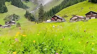 ???? Uri ,Switzerland ???????? #nature #fyp #foryou  #explore #shortsfeed #mountainswiev #travel [1080p]