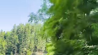 ???? travel in Switzerland ????????  #travel #switzerland #nature #swiss #suisse #pourtoi [1080p]