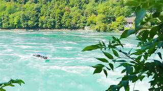 Schaffhausen, Switzerland ???????? #nature #switzerland #suisse #shortsfeed #lake #travel [1080p]