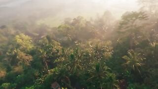 Somewhere over the palm trees ????(via mattyb_fpv⧸IG) #DroneRacingLeague [1080p]
