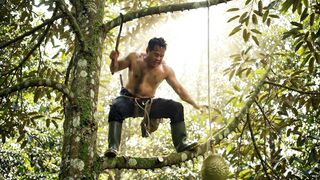 NYARIS JATUH KETIKA AMBIL BUAH DURIAN
