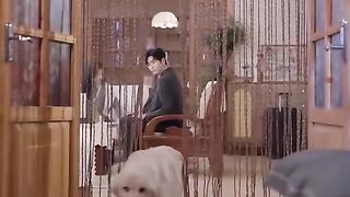 Doblado] Amor de luna de miel???????? Completo En Español parte 511 #cdrama #fyp #doblado