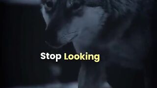 ???? focus on money goal and respect ????.mp4