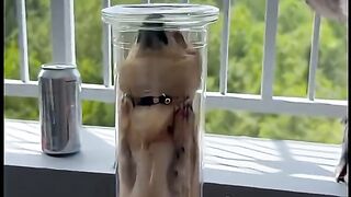 Funny Videos Part 109